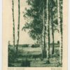 1942 Ostland postcard, air mail rate 11Rpf, Arensburg/Kuressaare - Berlin-Köpenick - Image 2