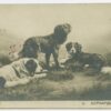 1913 4kop postage due, Revel/Tallinn - Weissenstein/Paide - Image 2