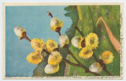 1941 ESSR censored postcard Tallinn-Posen - Image 2